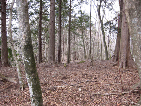 20190205hike (226)